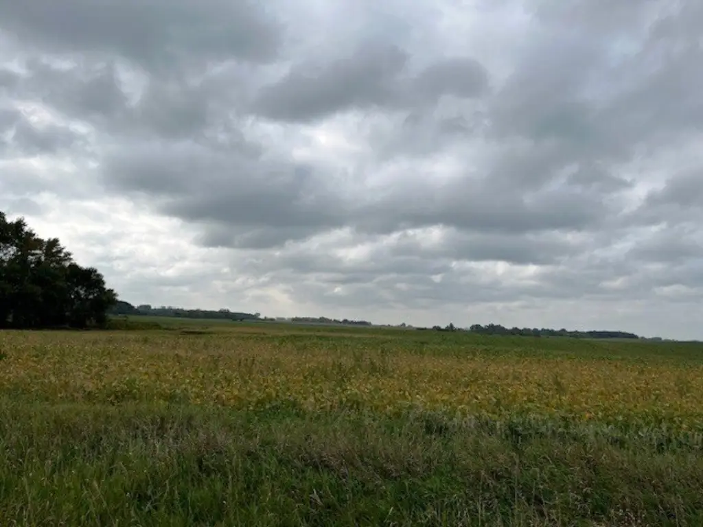 Picture 32