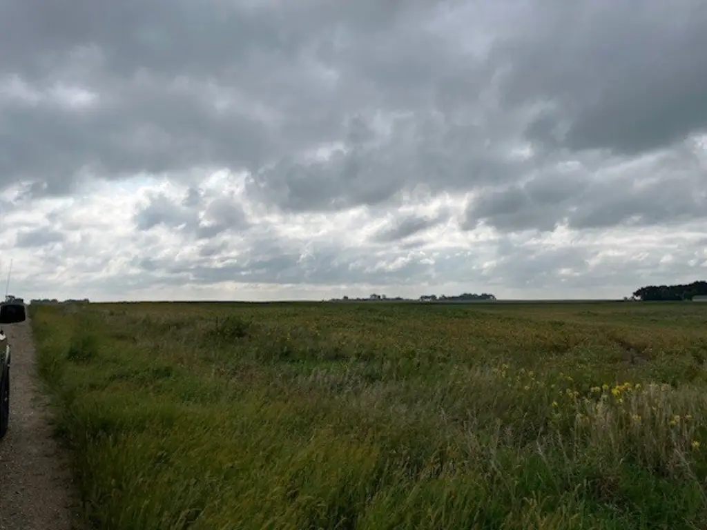Picture 38