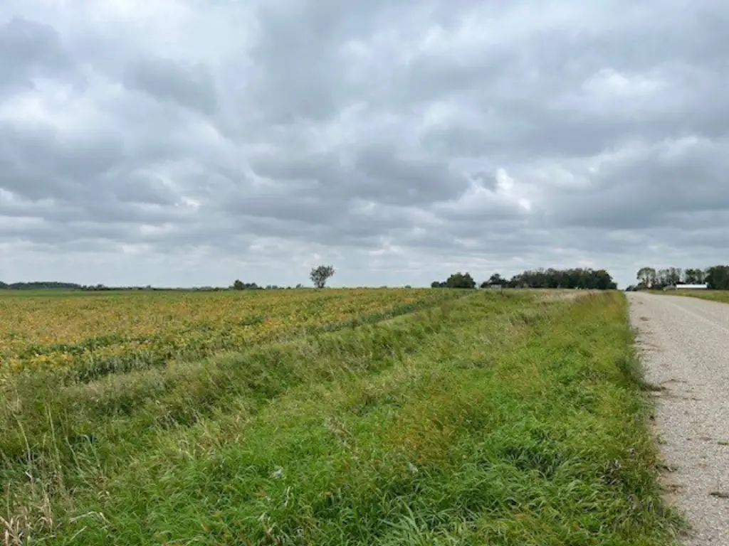 Picture 46