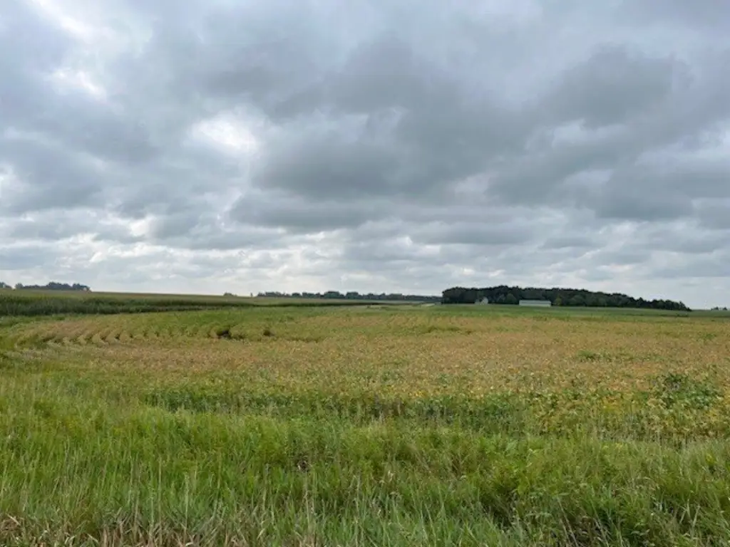 Picture 42