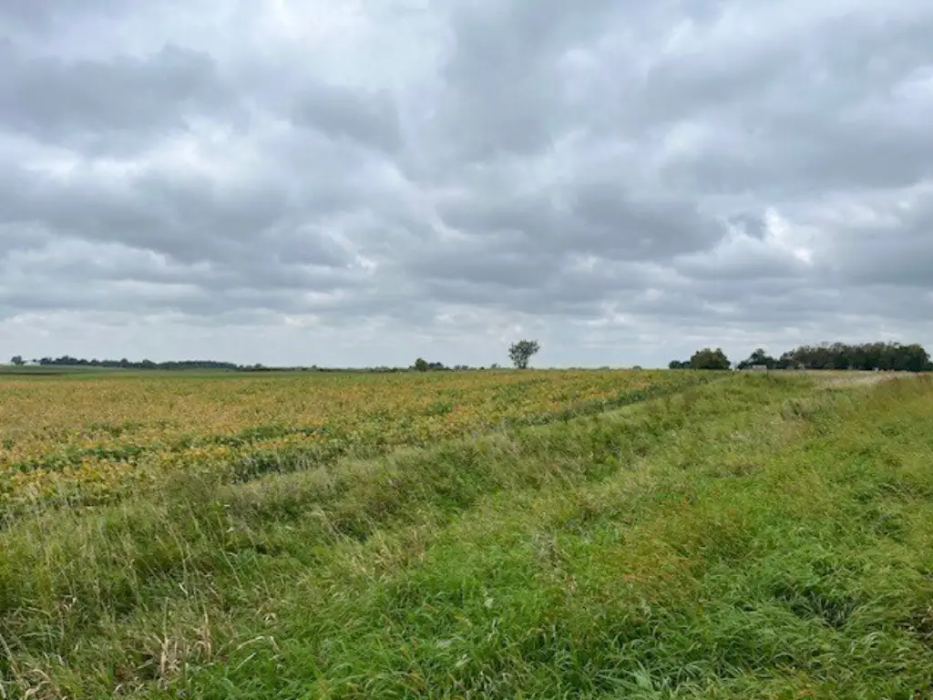 Picture 45