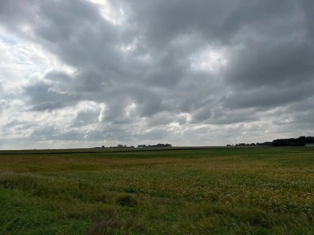 Picture 41