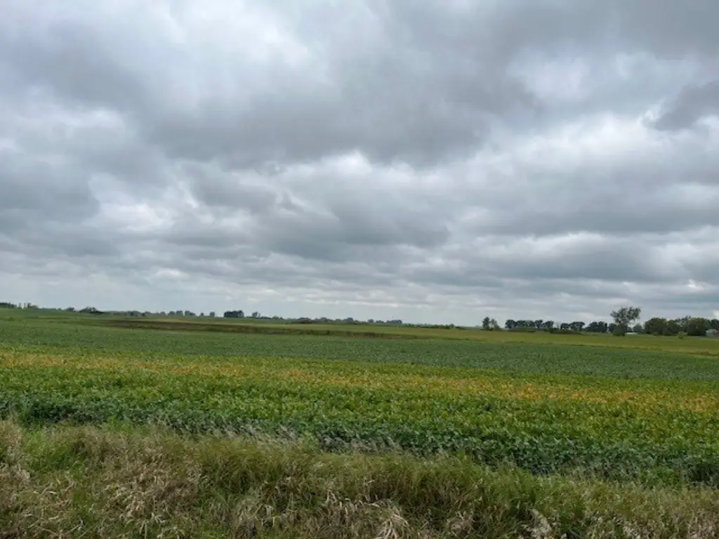 Picture 49