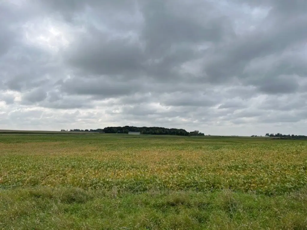 Picture 39