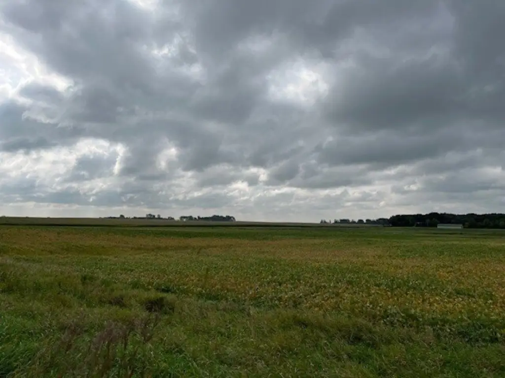 Picture 40