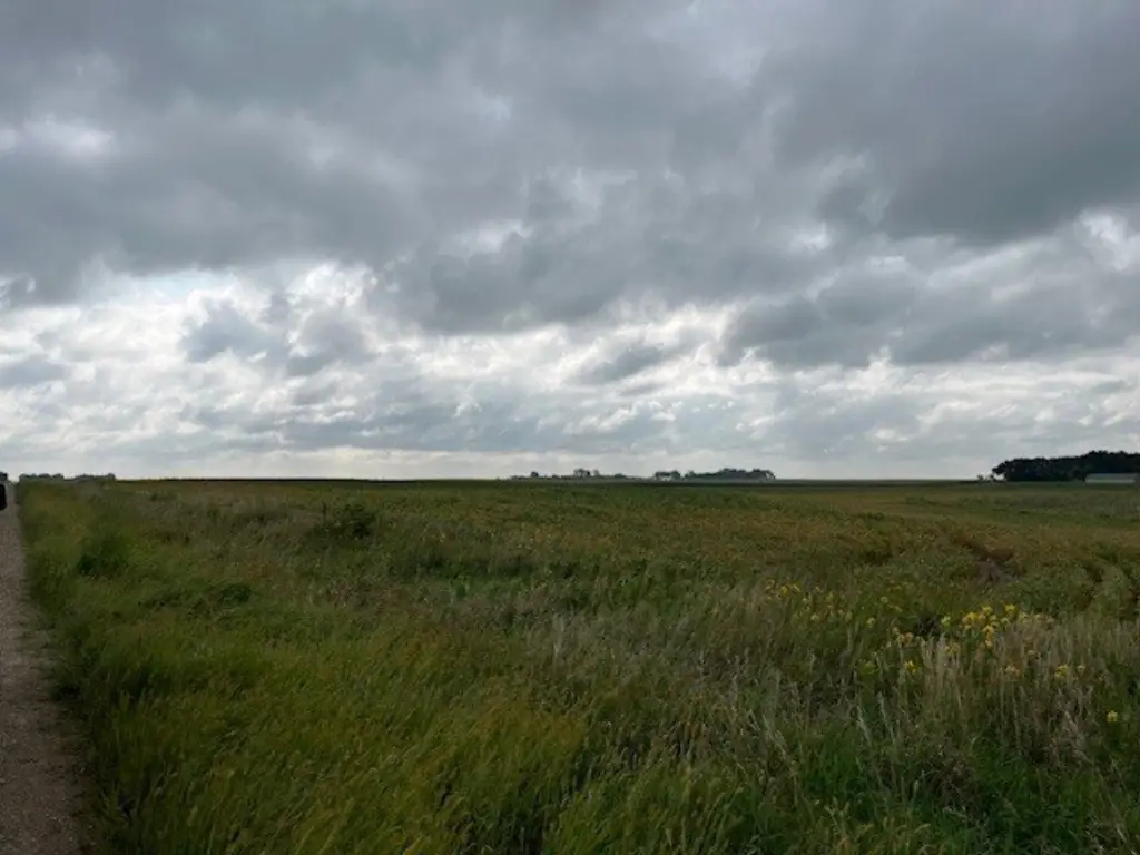 Picture 37