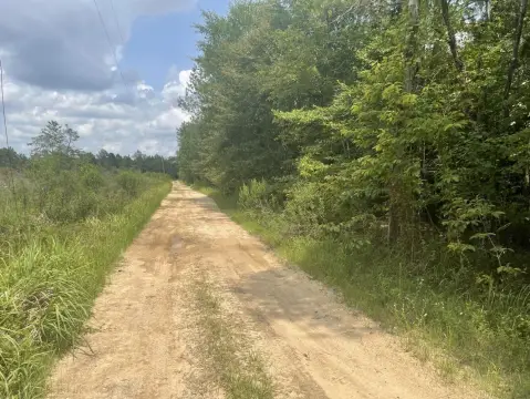 Wooded Hunting Land