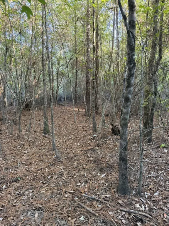Picture 16