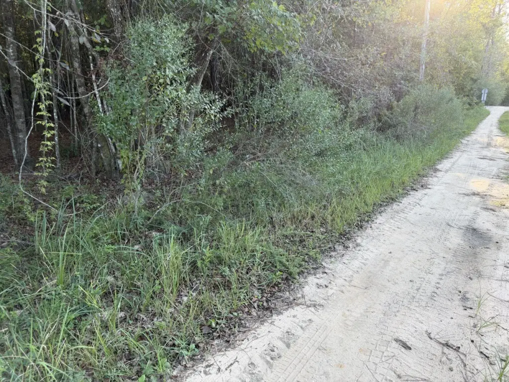 Picture 24