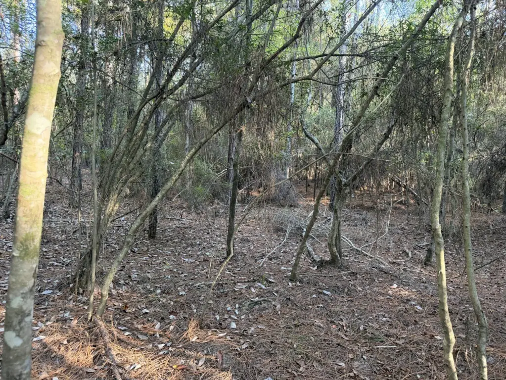 Picture 11
