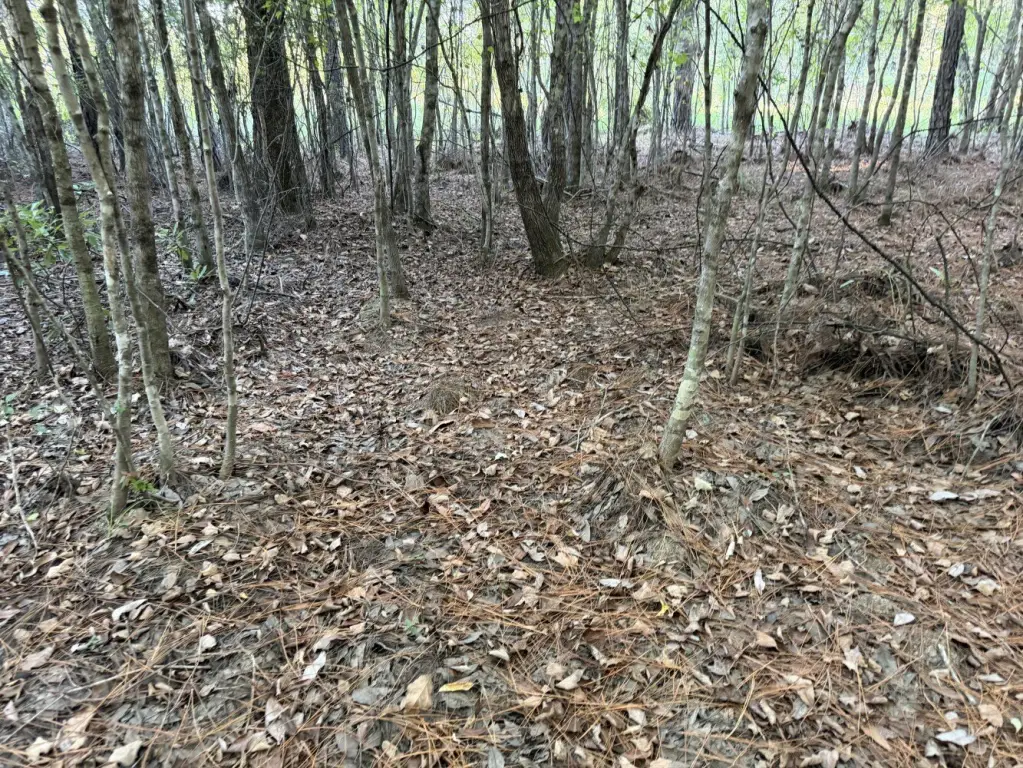 Picture 19