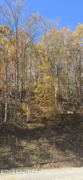 Sevierville Land in Gated Community