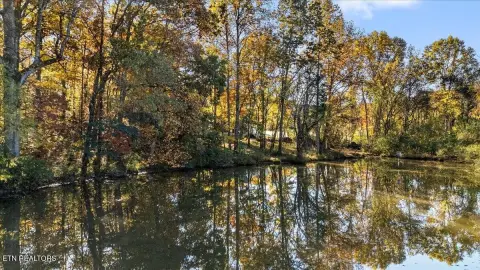 Lakefront Lots in Tellico Harbor