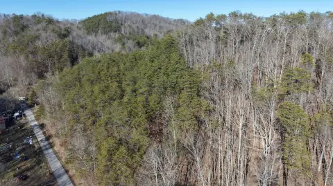 Unrestricted Wooded Land in Andersonville