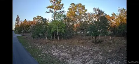 Picture of Land at N Varsity Ave 6599, Citrus Springs, FL