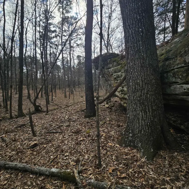 Picture 25