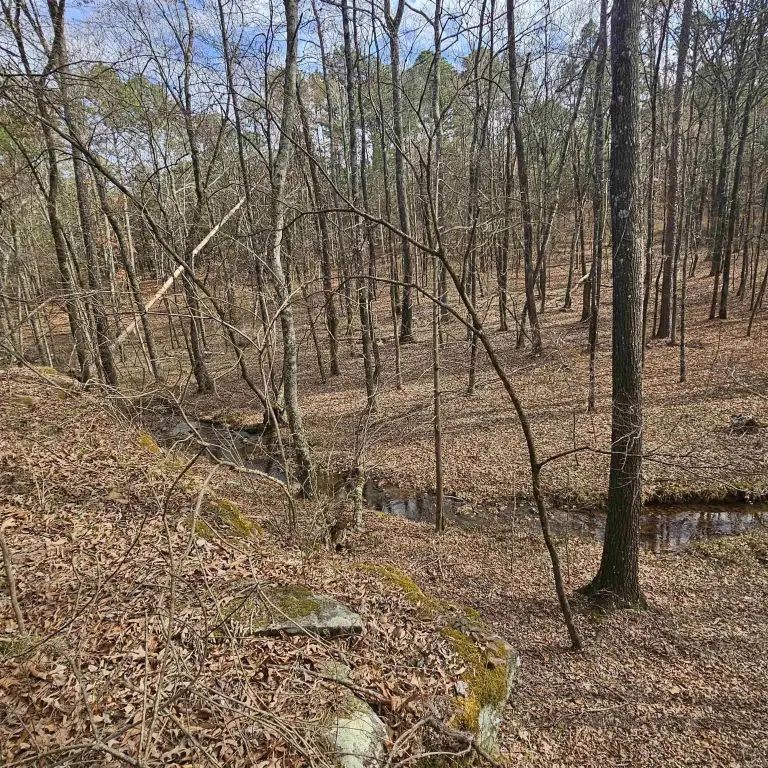 Picture 23