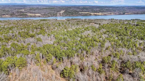 Private Hunting Land with Timber