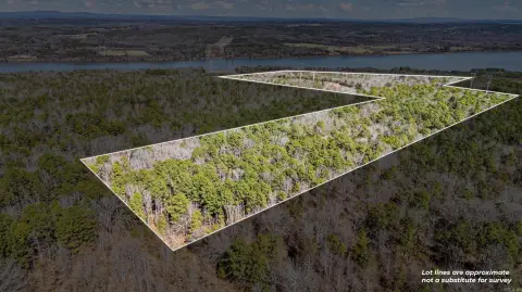 Arkansas Outdoor Paradise - 90 Acres