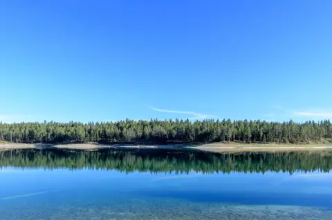 Pristine Land with Lake Frontage