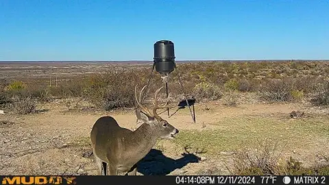 West Texas Hunting Heritage