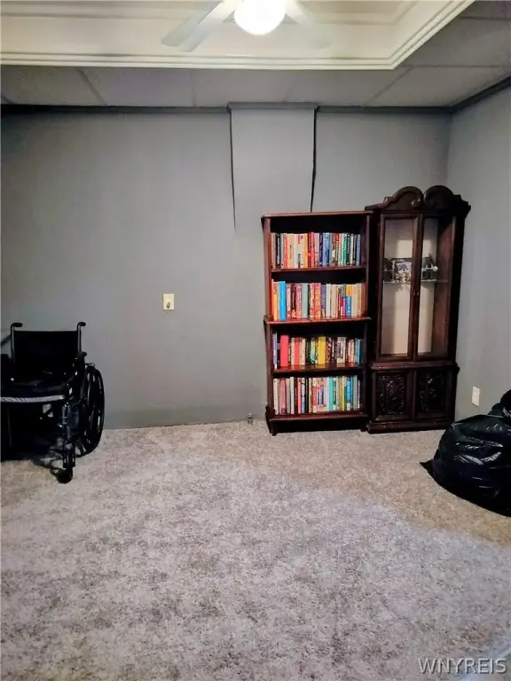 Picture 11