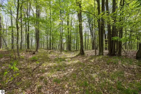 Wooded Recreational Land