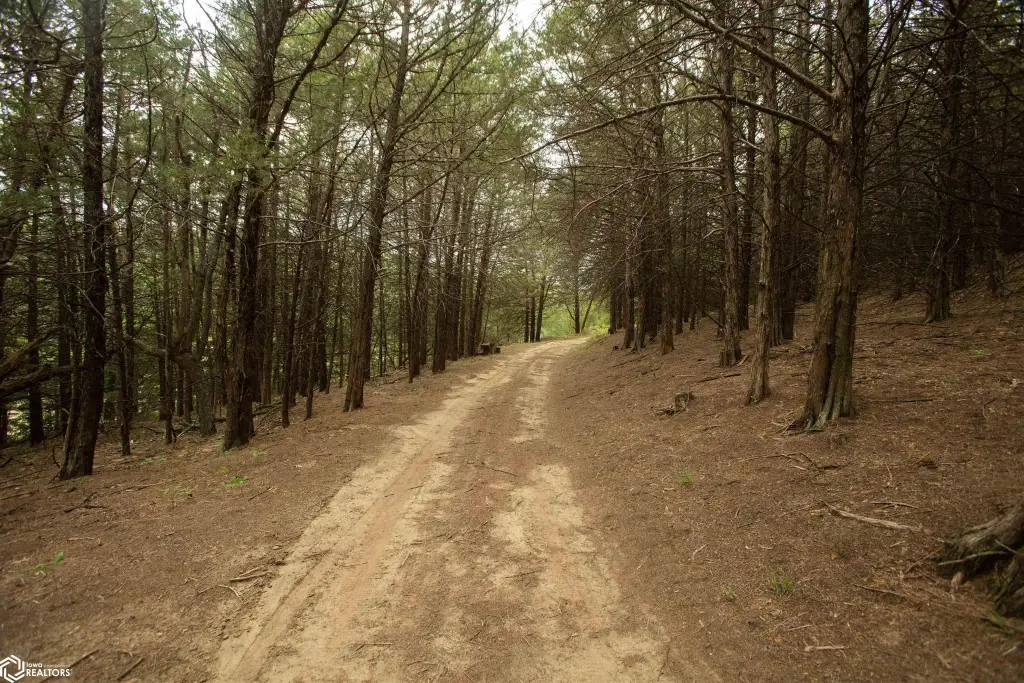 Picture 41