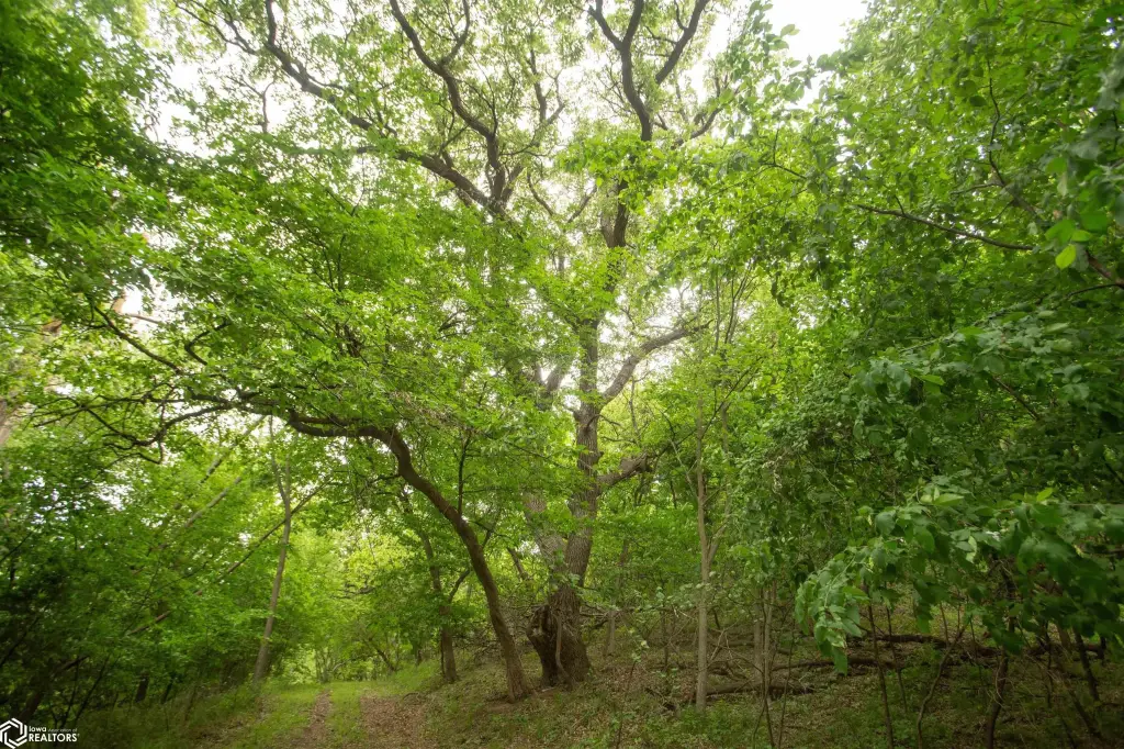 Picture 42