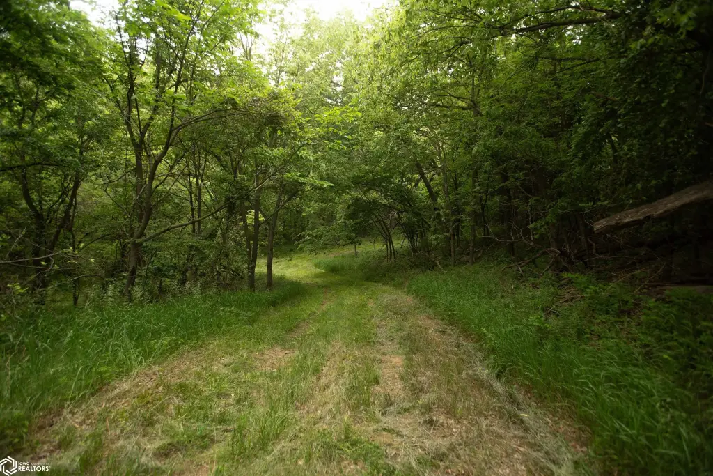 Picture 44