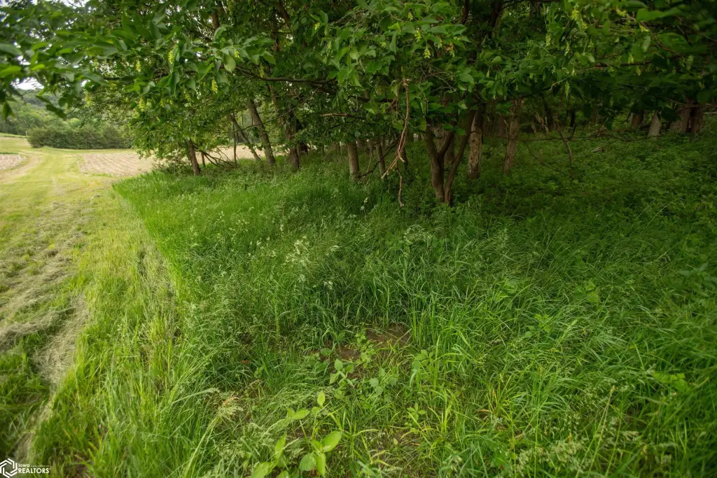 Picture 34