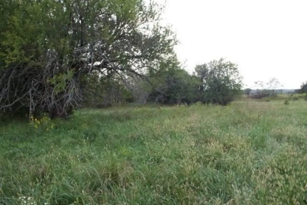 Picture 38