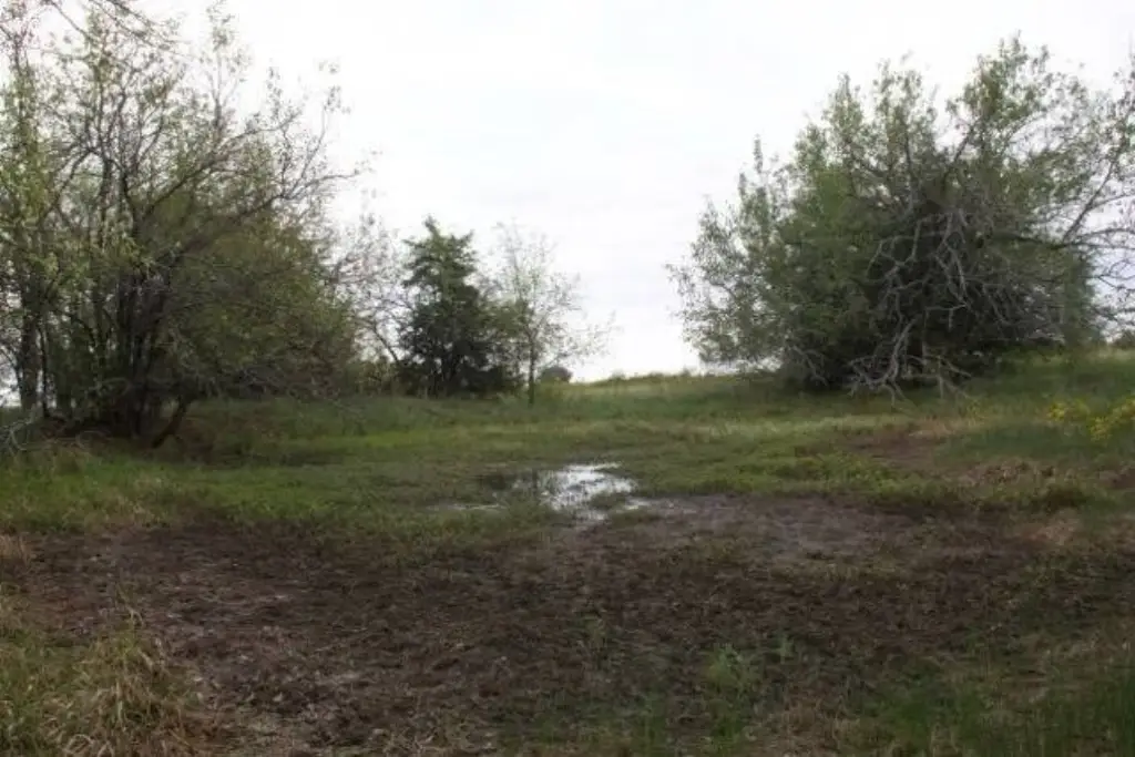 Picture 34