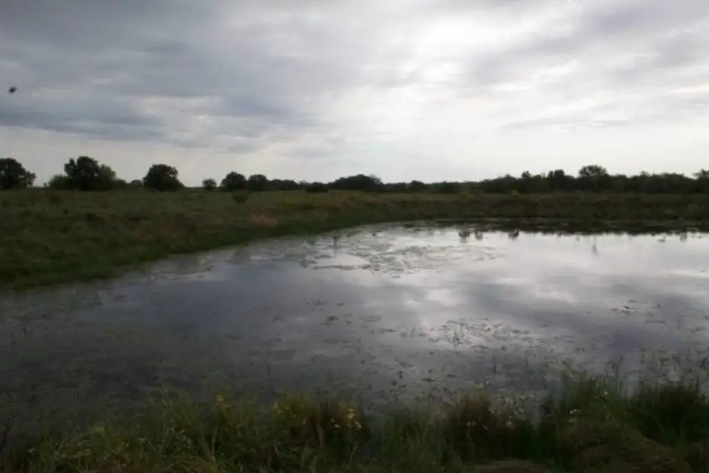 Picture 48