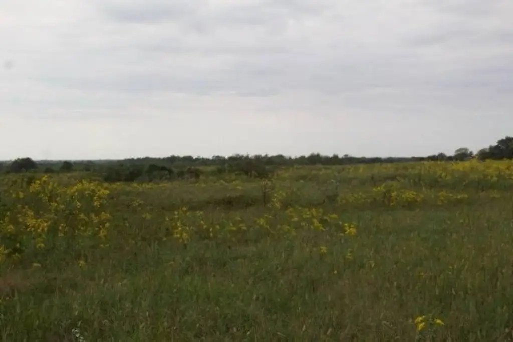 Picture 30