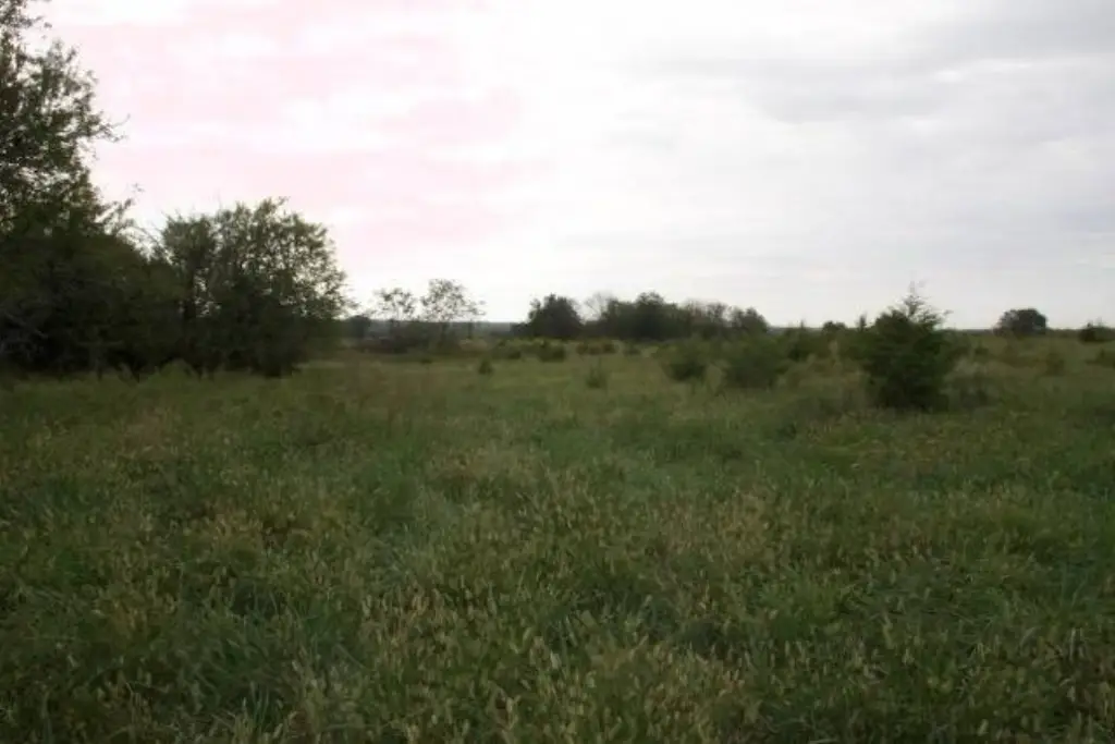 Picture 37
