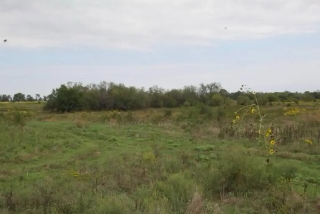Picture 7