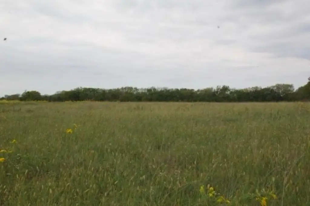 Picture 27