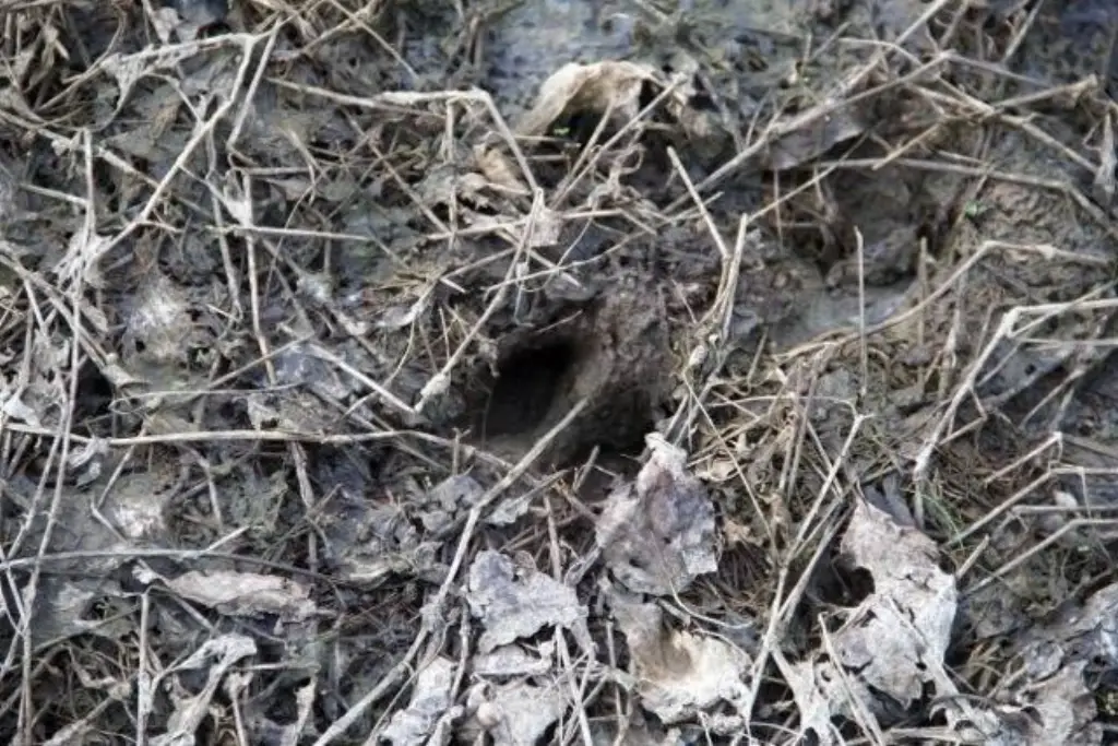 Picture 33