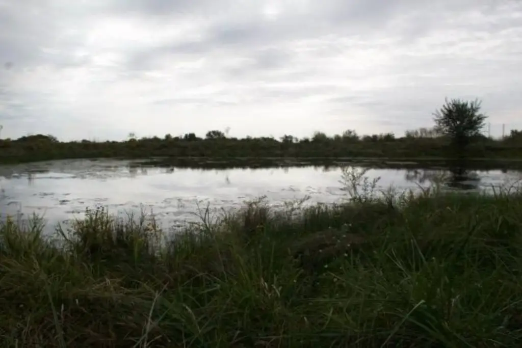 Picture 47