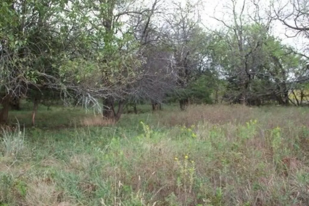 Picture 41