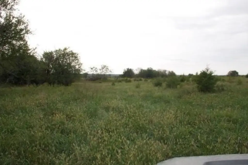 Picture 36