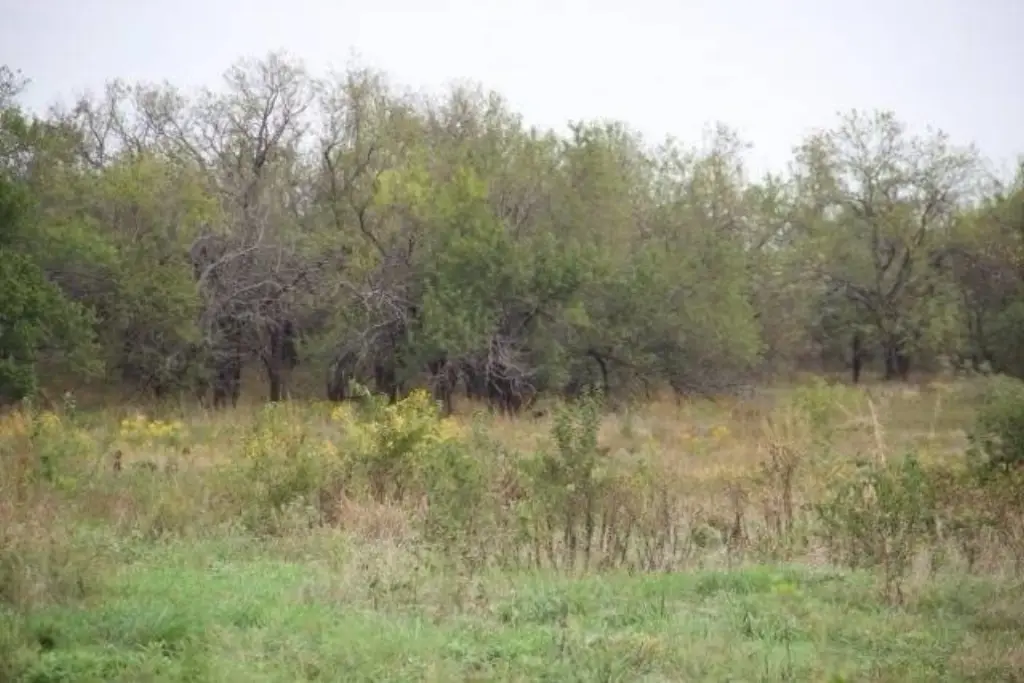 Picture 8
