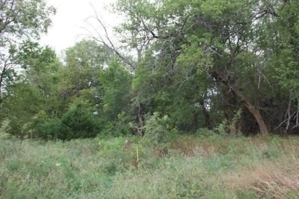 Picture 26