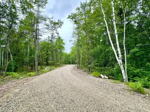 Shapleigh Acreage with Cleared Homesite