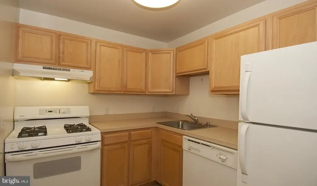 Picture 45