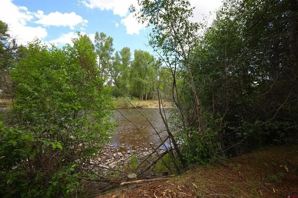Picture 24