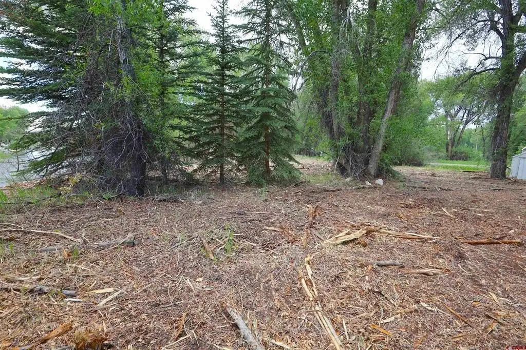 Picture 20