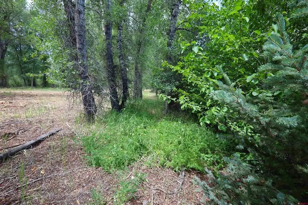 Picture 23