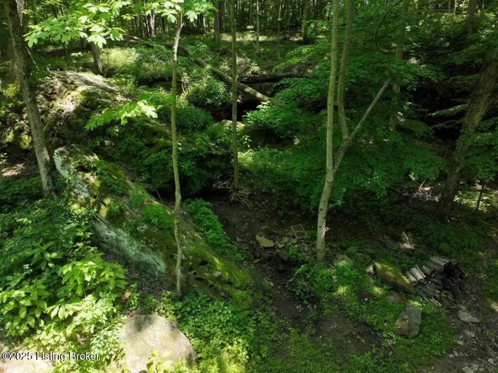 Picture 25